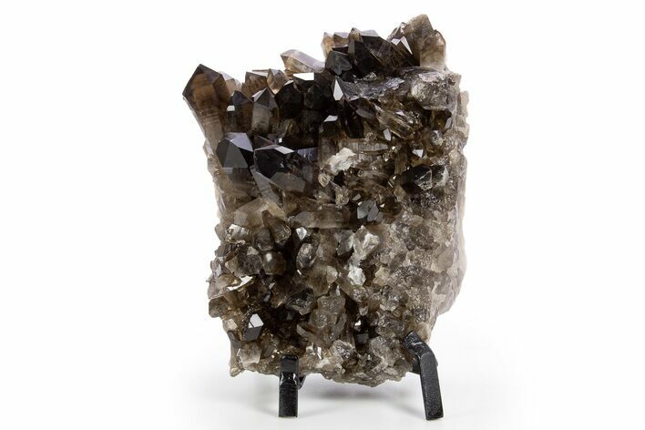 Dark Smoky Quartz Crystal Cluster on Metal Stand - Brazil #330462